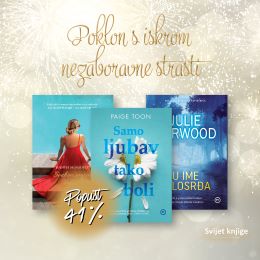 KOMPLET - MODERNI LJUBAVNI ROMANI